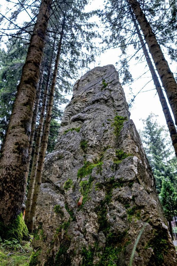 Pensiunea Sura Dacilor - Alex Пояна-Брашов Екстер'єр фото